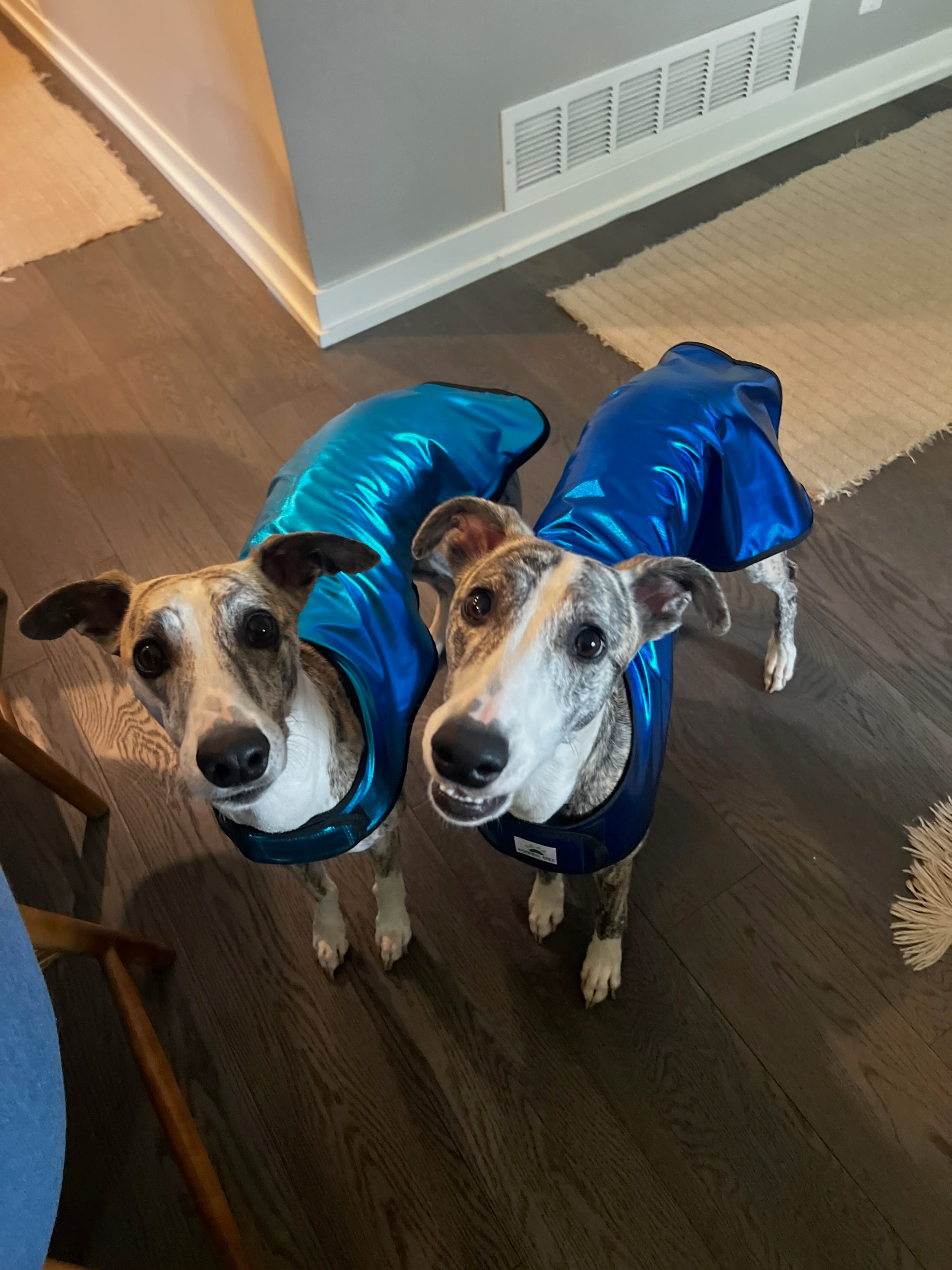 Cooling Coat