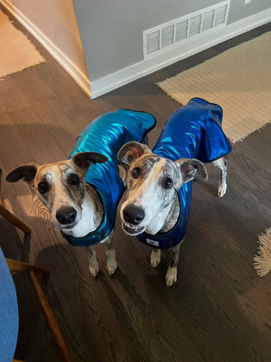 Cooling Coat