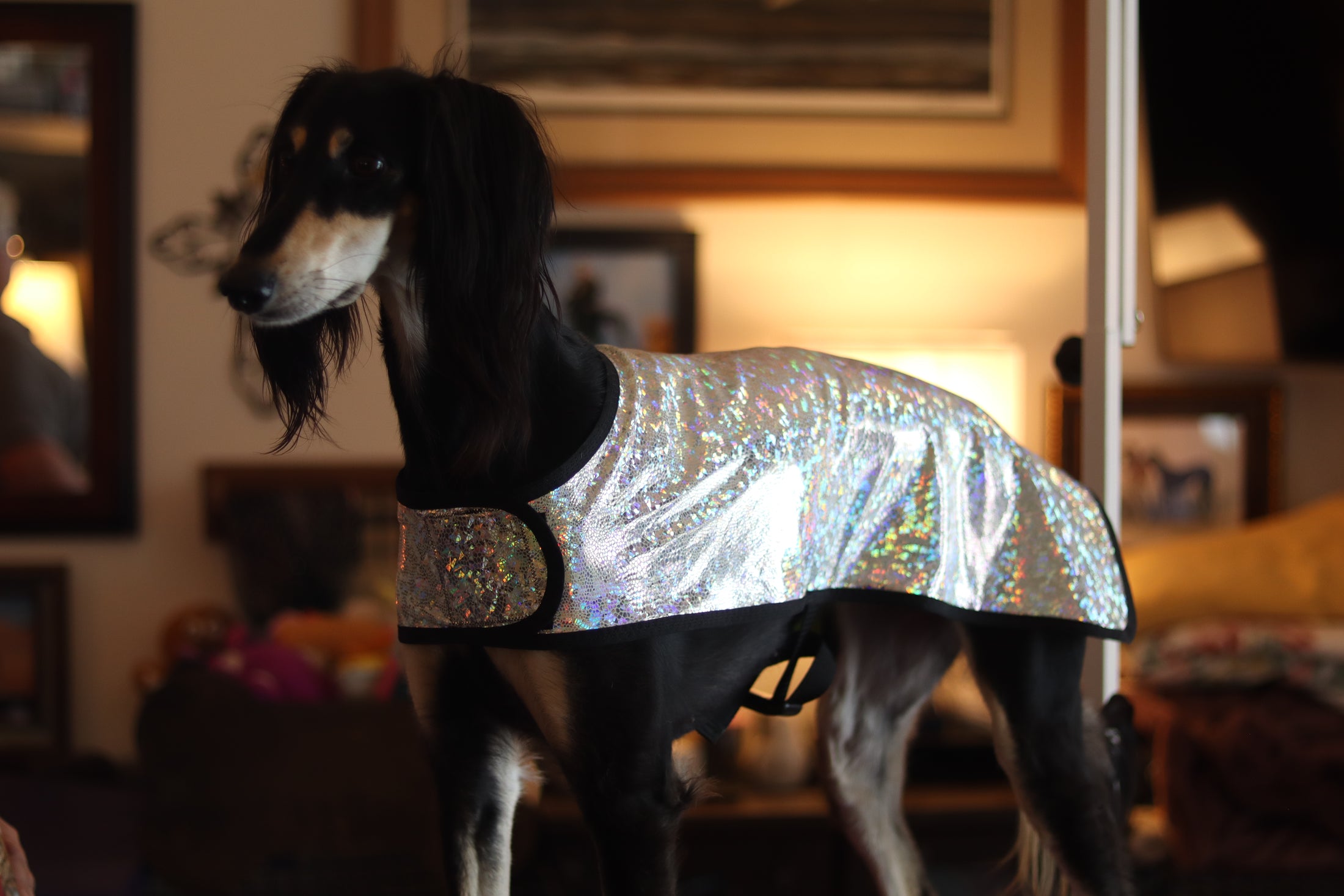 Cooling Coat