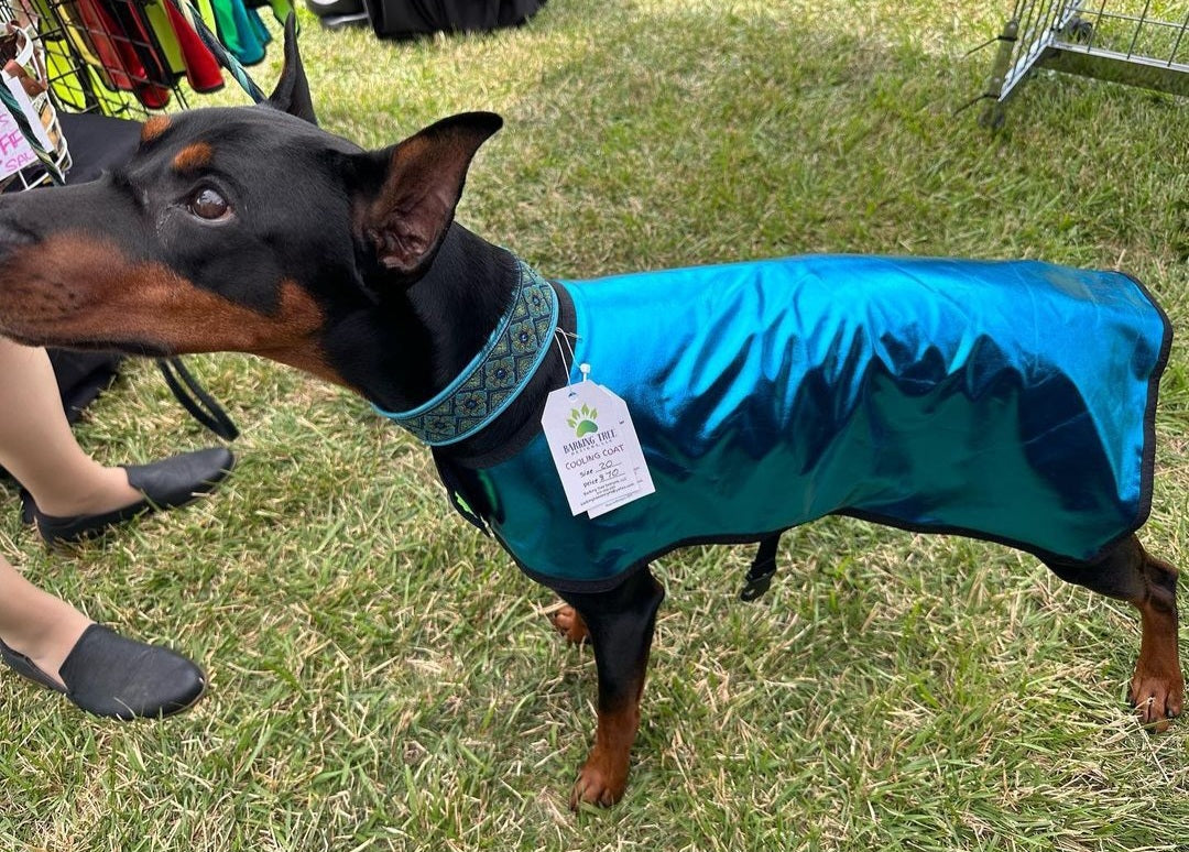 Cooling Coat