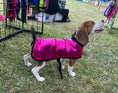 Load image into Gallery viewer, Cooling Coat
