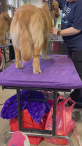 Load and play video in Gallery viewer, Grooming Table Cover
